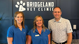 Bridgeland Vet Clinic shares their story
